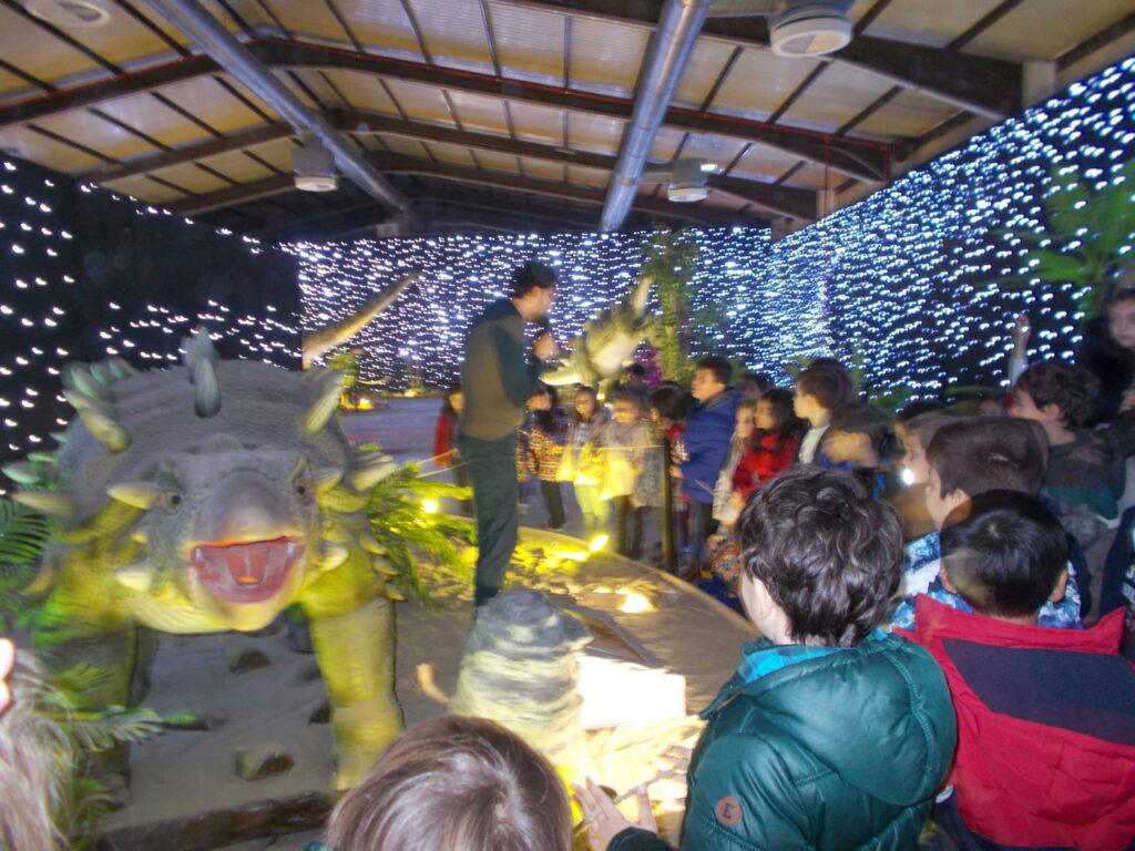 DSCN0601