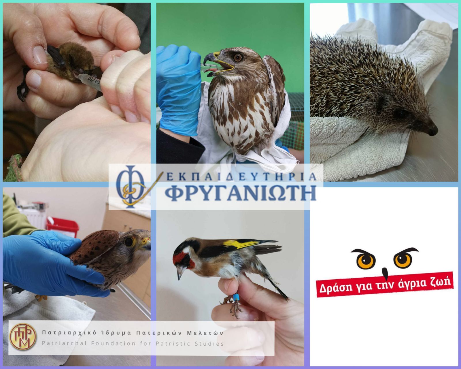 Πατριαρχικό Ίδρυμα Πατερικών Μελετών