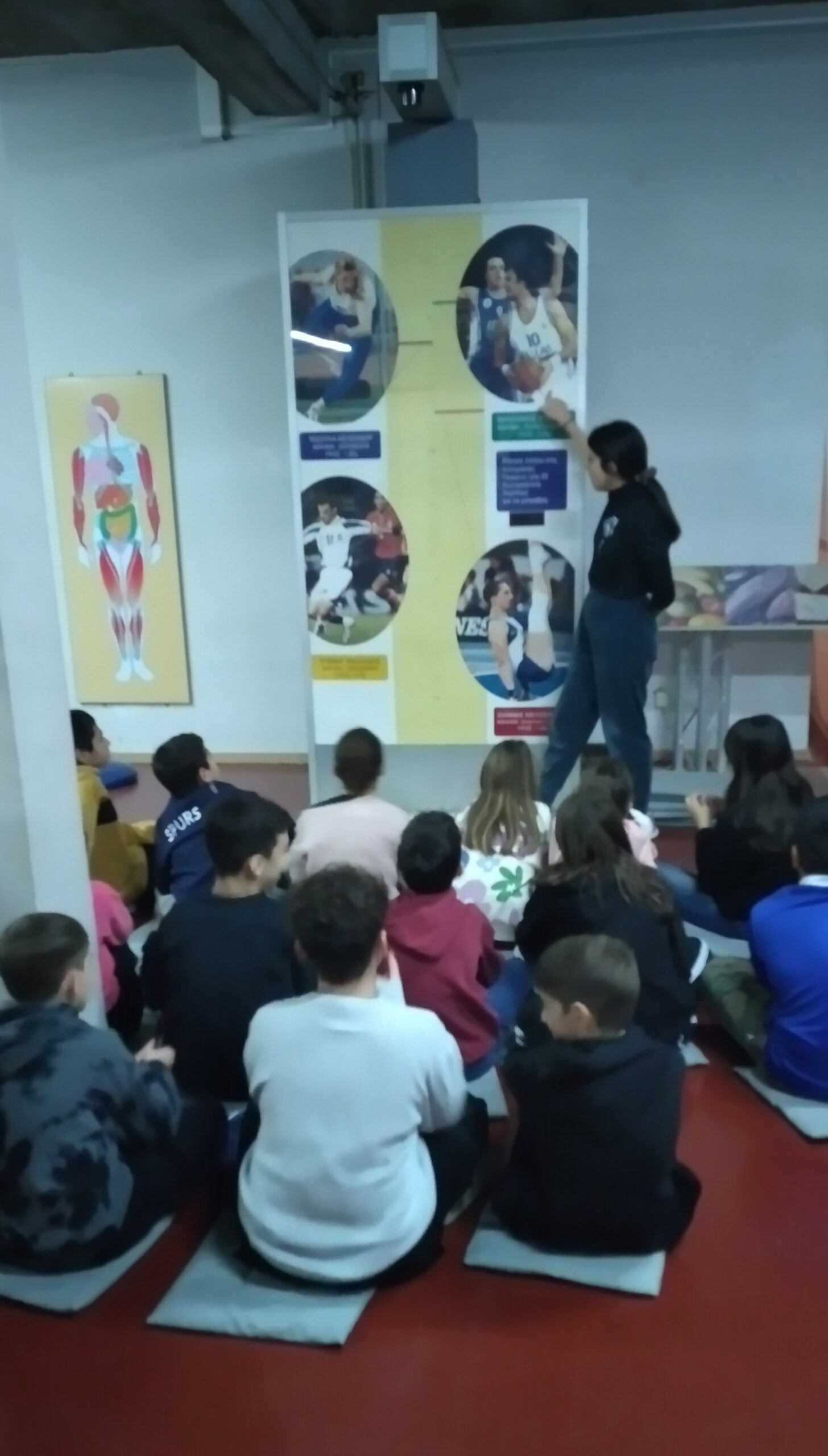 διαδραστικές ενέργειες στο Ολυμπιακό Μουσείο